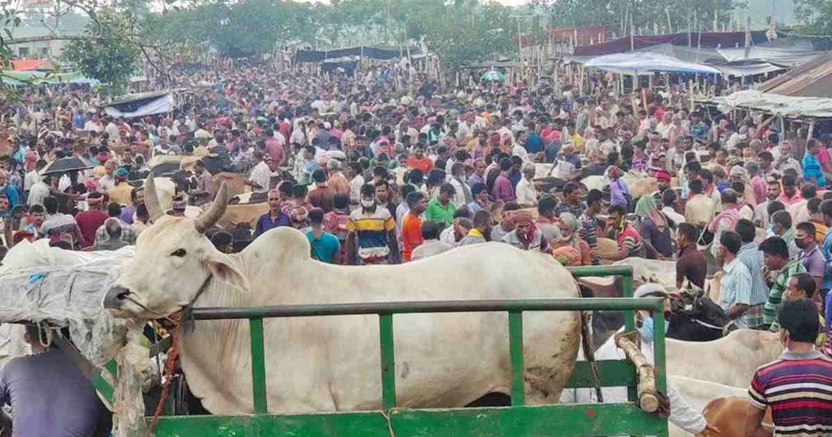 কোরবানির পশুর হাটে মানতে হবে ১৬ স্বাস্থ্যবিধি - the Bengali Times