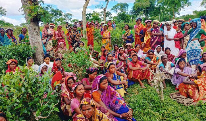 আন্দোলন প্রত্যাহার, ১২০ টাকা মজুরিতেই কাজে ফিরছেন চা শ্রমিকরা - the Bengali Times