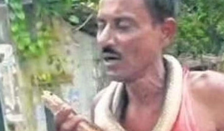 ছোবল খেয়ে পাল্টা কামড়, সাপের মৃত্যু - the Bengali Times