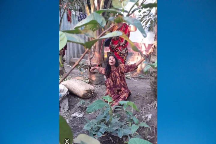 যৌতুকের দাবিতে গৃহবধূকে গাছে বেঁধে নির্যাতন, ছবি ভাইরাল - the Bengali Times