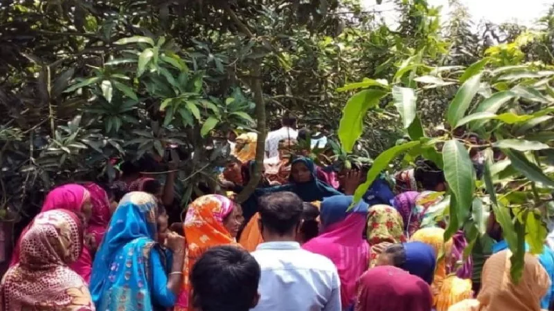 পরকীয়ায় আসক্ত স্বামী, ‘বিশেষ অঙ্গ’ কেটে দিলেন স্ত্রী - the Bengali Times