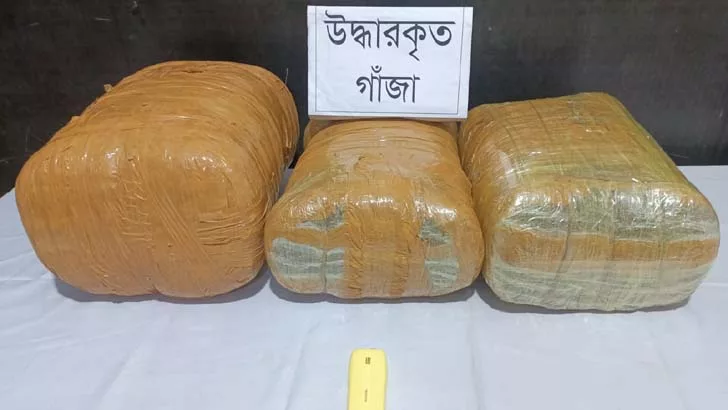 কবরে লাশ নেই বস্তা-বস্তা গাঁজা - the Bengali Times কবরে লাশ নেই বস্তা-বস্তা গাঁজা - the Bengali Times