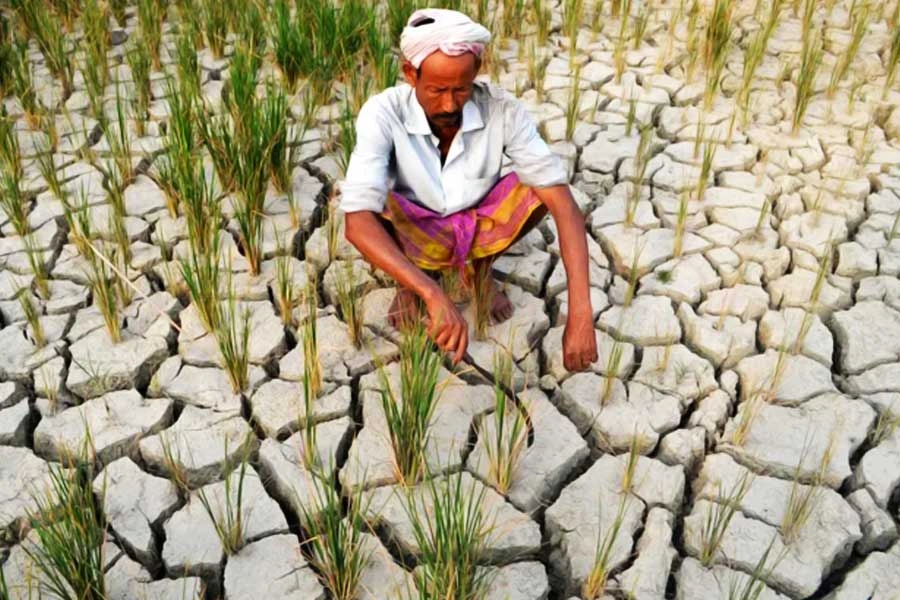 প্রশান্ত সাগরের এল নিনো’র কারণে ভারতে ১০০ বছরে ১৩টি খরা - the Bengali Times