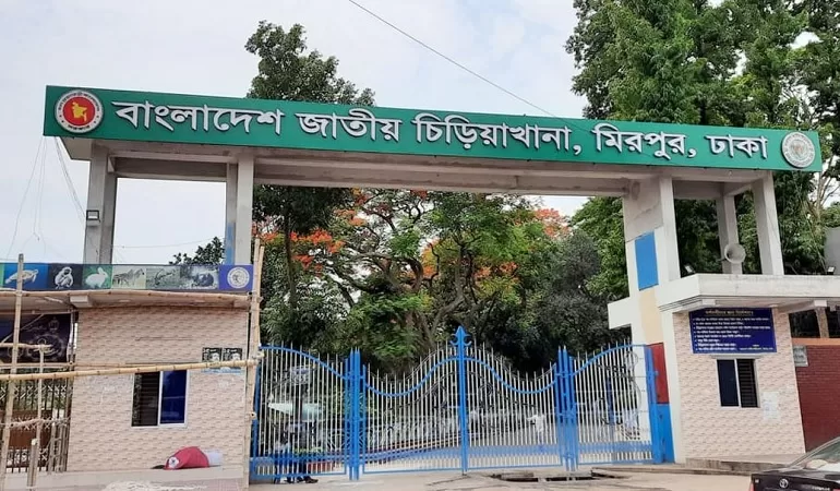চিড়িয়াখানায় শিশুর হাত কামড়ে খেলো হায়েনা - the Bengali Times