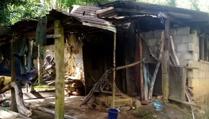 এখনও দুর্দশা কাটেনি, কাঁঠাল খেয়ে বেঁচে আছে শ্রীলংকার ‘লাখ লাখ মানুষ’ - the Bengali Times এখনও দুর্দশা কাটেনি, কাঁঠাল খেয়ে বেঁচে আছে শ্রীলংকার ‘লাখ লাখ মানুষ’ - the Bengali Times