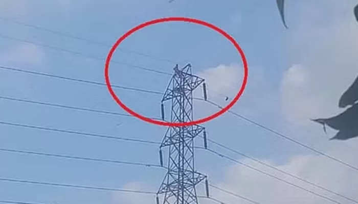 ২ ঘণ্টা পর নামলেন হাতিরঝিলে বৈদ্যুতিক টাওয়ারে উঠা নারী - the Bengali Times