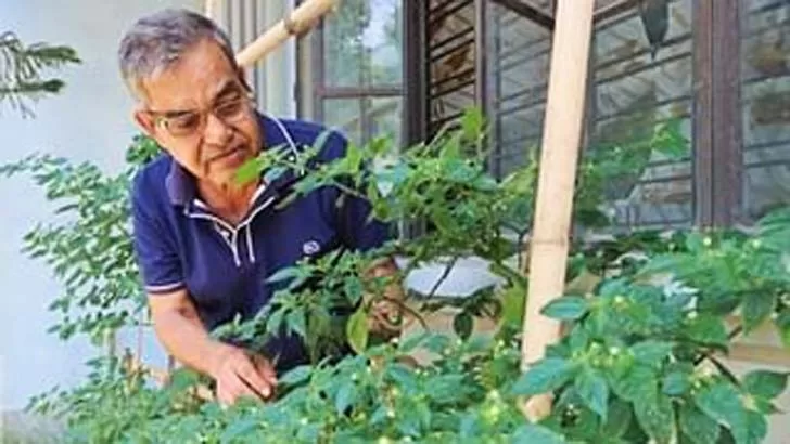 কেজি ২৮ লাখ টাকা! বিশ্বের সবচেয়ে দামি মরিচ নিয়ে কৌতূহল - the Bengali Times