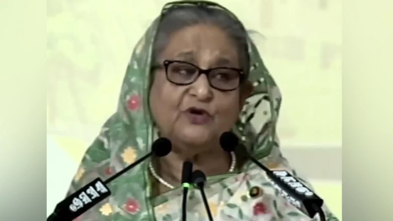 মশা মেরে শেষ করা যাবে না, সবাইকে সচেতন হতে হবে: প্রধানমন্ত্রী - the Bengali Times