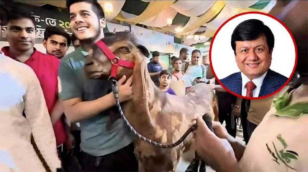 ধনাঢ্য রাজপুত্রের মতো ইফাতের বেপরোয়া ও বিলাসী জীবন-যাপনের চাঞ্চল্যকর তথ্য - the Bengali Times