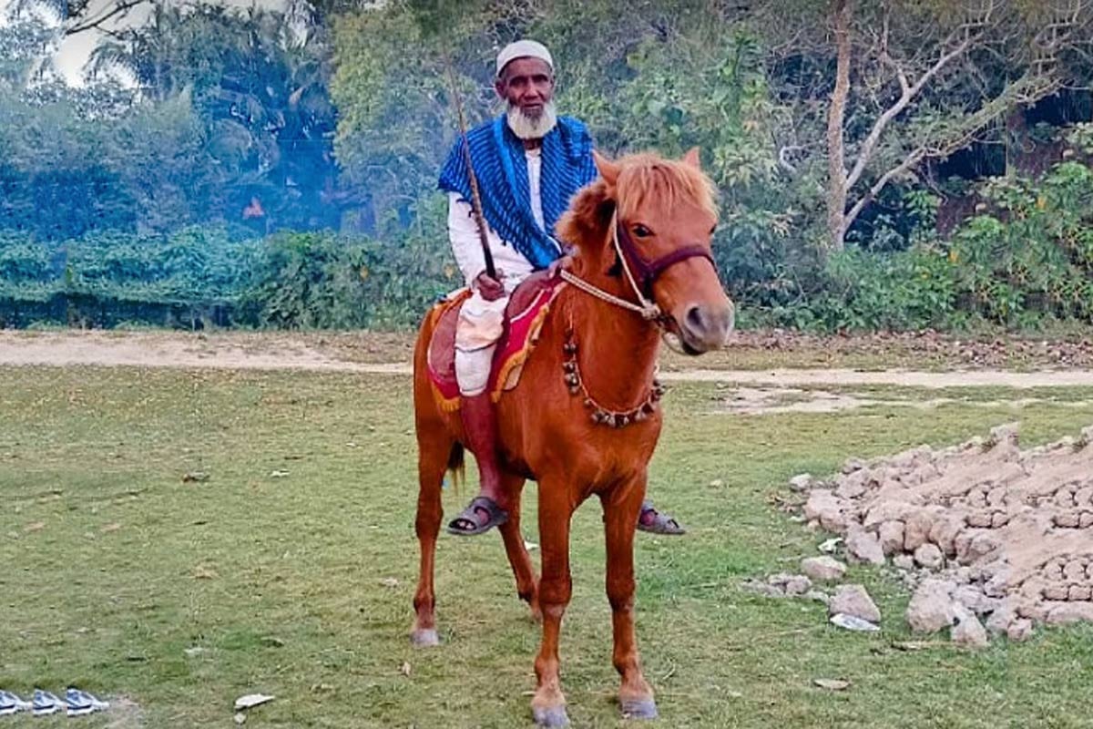 মনু মিয়ার প্রিয় ঘোড়াটি মেরে ফেলল দুর্বৃত্তরা - the Bengali Times মনু মিয়ার প্রিয় ঘোড়াটি মেরে ফেলল দুর্বৃত্তরা - the Bengali Times