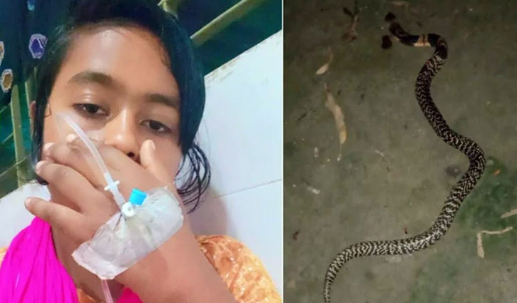 কামড় দেওয়া সাপ নিয়ে স্কুলছাত্রীর টিকটক, টিকটকার কোমায় - the Bengali Times
