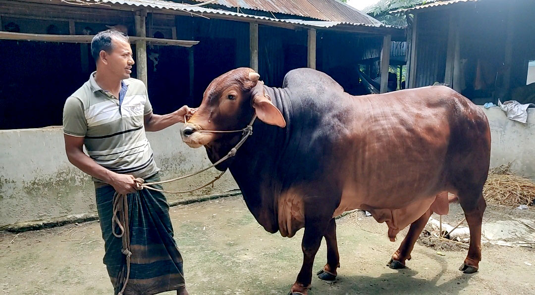 ঝড়ের রাতে জন্ম, নাম তাই ‘তুফান’ - the Bengali Times ঝড়ের রাতে জন্ম, নাম তাই ‘তুফান’ - the Bengali Times