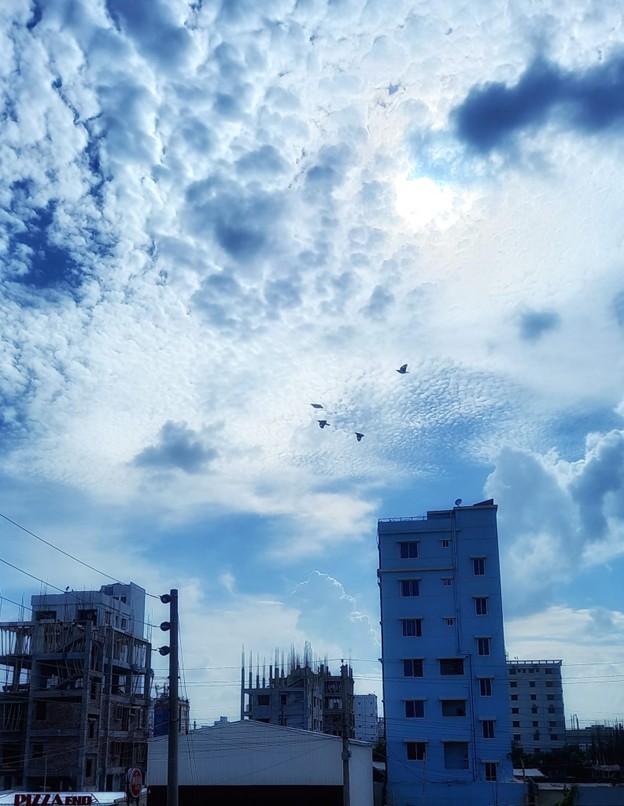 বোনের বিয়ে - the Bengali Times বোনের বিয়ে - the Bengali Times