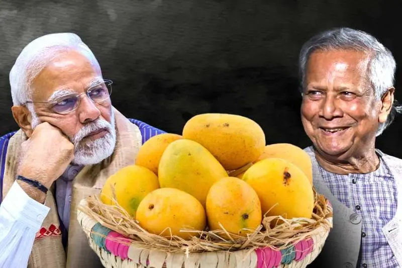 ইউনূসের আম খেয়ে হাসিনাকে ফেরত দেবে মোদি? - the Bengali Times ইউনূসের আম খেয়ে হাসিনাকে ফেরত দেবে মোদি? - the Bengali Times