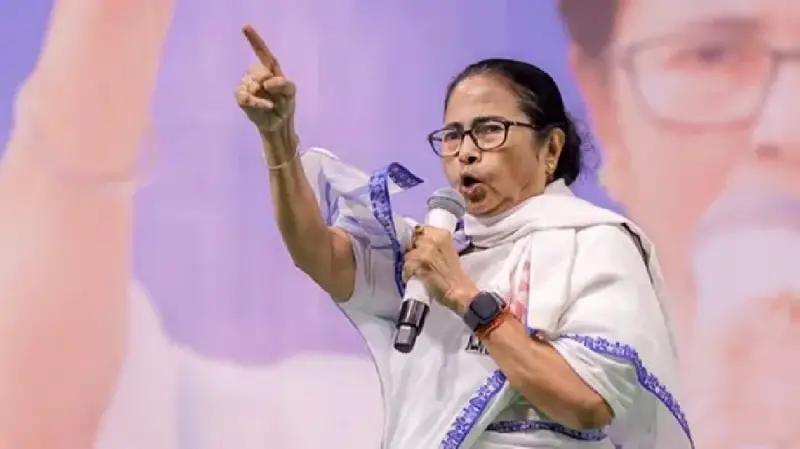 পলাতক আওয়ামী লীগ নেতাকর্মীদের পশ্চিমবঙ্গ থেকে তাড়াতে হুঁশিয়ারি দিলেন মমতা - the Bengali Times