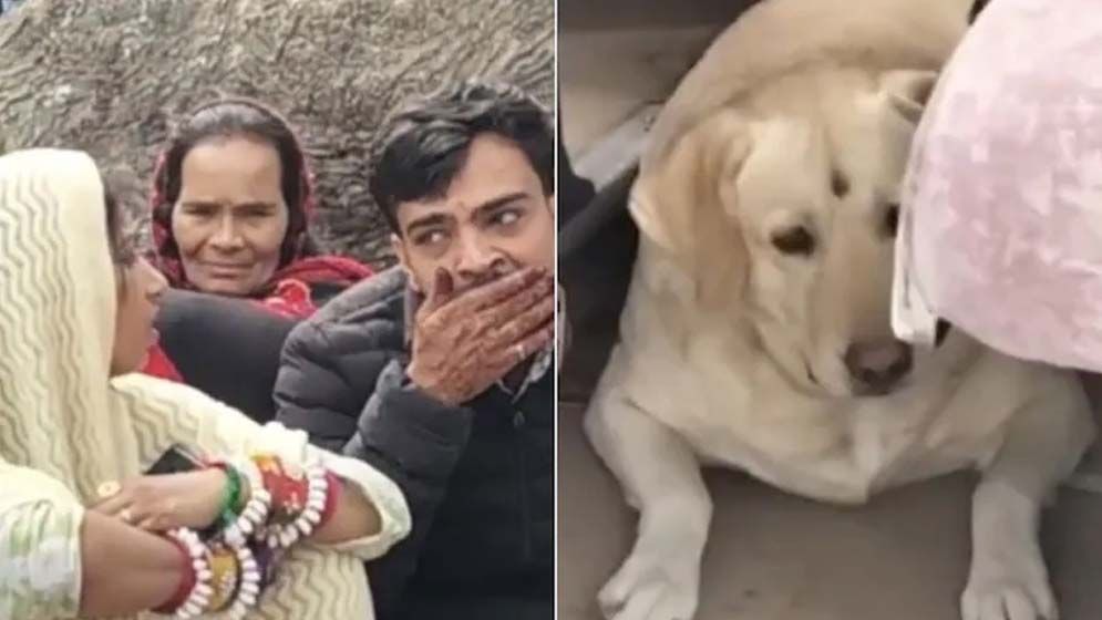 বিয়েবাড়িকে রণক্ষেত্রে পরিণত করল কনের পোষা কুকুর - the Bengali Times