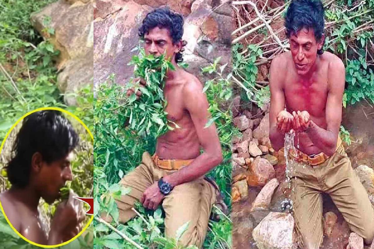 বিয়ে থেকে বাঁচতে বনবাস, পাতা খেয়েই খান বানালেন ‘সিক্স প্যাক’ - the Bengali Times বিয়ে থেকে বাঁচতে বনবাস, পাতা খেয়েই খান বানালেন ‘সিক্স প্যাক’ - the Bengali Times