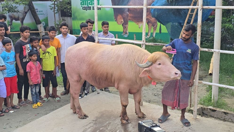 ৬ লাখে বিক্রি ‘নেতানিয়াহু’, সাড়ে ৩ লাখে ‘ডোনাল্ড ট্রাম্প’ - the Bengali Times ৬ লাখে বিক্রি ‘নেতানিয়াহু’, সাড়ে ৩ লাখে ‘ডোনাল্ড ট্রাম্প’ - the Bengali Times