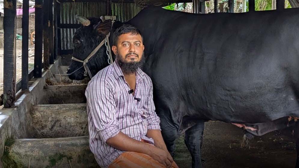 খালেদা জিয়াকে ‘কালো মানিক’ উপহার দিতে চাওয়া সোহাগ পর্নোগ্রাফি মামলায় গ্রেফতার - the Bengali Times খালেদা জিয়াকে ‘কালো মানিক’ উপহার দিতে চাওয়া সোহাগ পর্নোগ্রাফি মামলায় গ্রেফতার - the Bengali Times