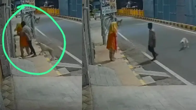 ধর্ষণের হাত থেকে মানসিক ভারসাম্যহীন মহিলাকে বাঁচাল কুকুর! - the Bengali Times ধর্ষণের হাত থেকে মানসিক ভারসাম্যহীন মহিলাকে বাঁচাল কুকুর! - the Bengali Times